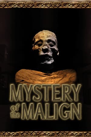 Game: Mystery of the Malign