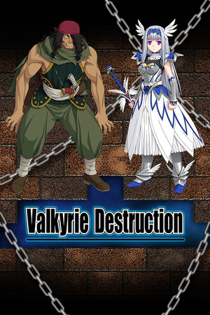 Game: Valkyrie Destruction